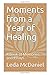 Moments from a Year of Healing: A Book of Memories and Essays by Leda McDaniel