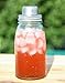 Lily's Home Mason Jar Cocktail Shaker Lid with Silicone Seal for Regular Mouth Canning Jars, Use at Home Parties for Shaking and Cooling Martinis and Mixed Alcoholic Beverages, Brushed Stainless Steel