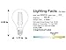 OPALRAY Dimmable G45(G14) Mini Globe LED Filament Tungsten Bulb, Warm White Light, 4W 400LM, 40W Incandescent bulb Replacement, E12 Base Candelabra Lamp, 6-Pack (Warm White-Clear Glass-6 Pack)