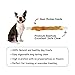 Pet Cuisine Dog Treats Puppy Chews Training Snacks,Chicken & Natural Rawhide Stix,12 oz