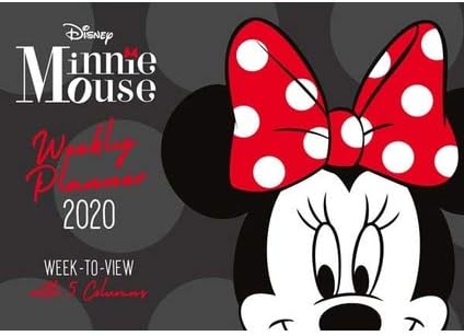 Disney Minnie Mouse 2020 Calendar with Organising Stickers Great Gift Present Wall Hanging