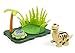 DigiDinos Habitat Playset, Quake