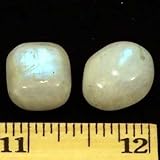 Tumbled Rainbow Moonstone (5/8" - 3/4") - 1pc.