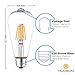 Hudson Bulb Co. Vintage Edison LED Light Bulbs, 6W, E26/E27 Base, Dimmable 60W Equivalent, 4000K Daylight White Lights, ST58 Style Set for Home, Kitchen, Indoor and Outdoor Use - 6 Pack