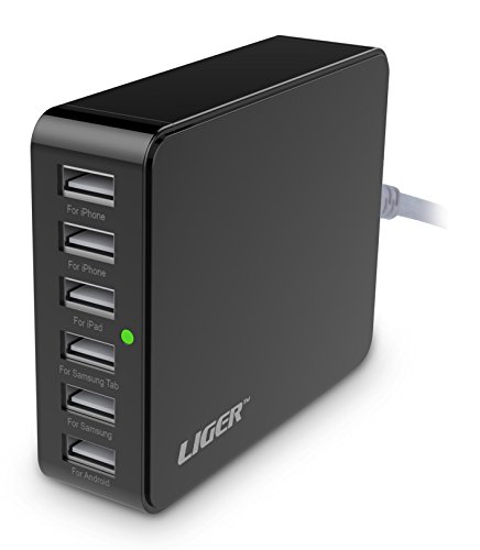 Desktop Charger, Liger 6-Port USB 6.5A Power Charger Adapter Family-Sized For iPhones, iPads, iPods, Samsung Tab 2 3 4, Galaxy Series Phones, Smartphones, Tablets and More (Black)