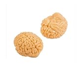 Sticky Squishy Brain (Half Dozen)