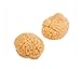 Sticky Squishy Brain (Half Dozen)