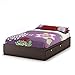 South Shore Furniture Cakao Collection Full Mates Bed, Chocolate, Pure White