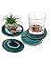 Agate Coaster Teal 3-3.5