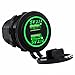 Cllena Dual USB Charger Socket Power Outlet 2.1A & 2.1A for Car Boat Marine Mobile (4.2A-Green)