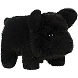 mr bacon walking pig