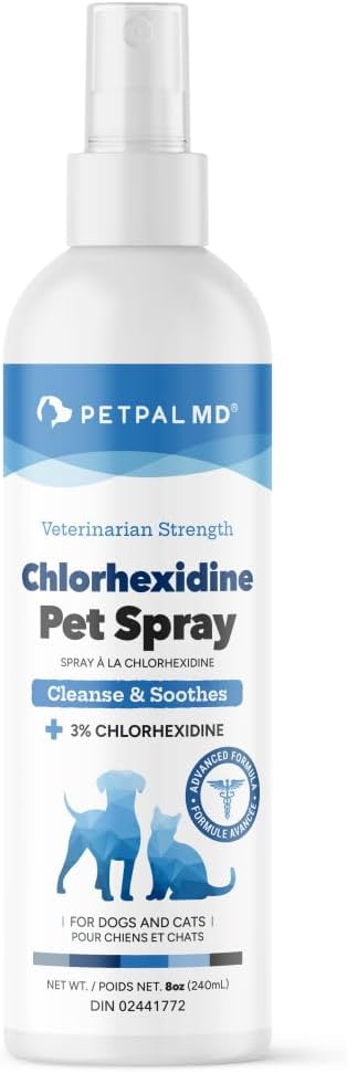 ChIorhexidine Spray by PetPal | with Aloe & VIT-B5 Panthenol | Hot Spot, Itch, Wound Care for Dogs and Cats | Relieves Itch, Rashes, Sores, Scrapes, Skin (8 fl oz / 240mL)
