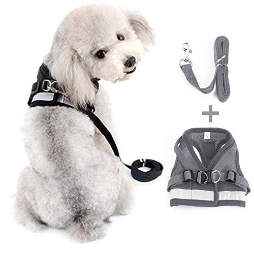 Kamots Beauty Escape Proof Cat Harness and Leash for Walking Adjustable Soft Mesh Pet Vest with Lead for Kitten -(Grey,S)