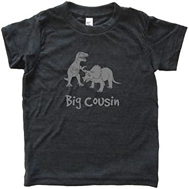 Boys Dinosaur Pair Big Cousin Triblend Shirt 5-6 Heather Black