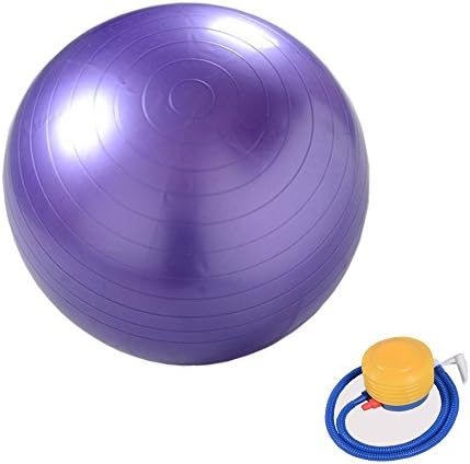 Runhigh Extra Thick Anti-Burst Stability Exercise Swiss Ball for Yoga, Balance, Workout, Fitness, Gym, Pilates &amp; Physical Therapy with Pump (purple, 65cm)