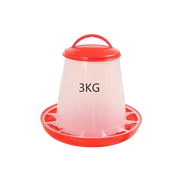 Abbeveratoio Basso,Pwtchenty Plastica Quaglia Chicken Poultry Feeder Bevitore Waterer Cibo Acqua Bollitore con Manico (3…