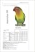 The Encyclopedia of Agapornis - Lovebirds