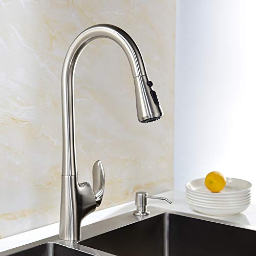 Treonyia Kitchen Faucet With Pull Out Sprayer Stainless Steel