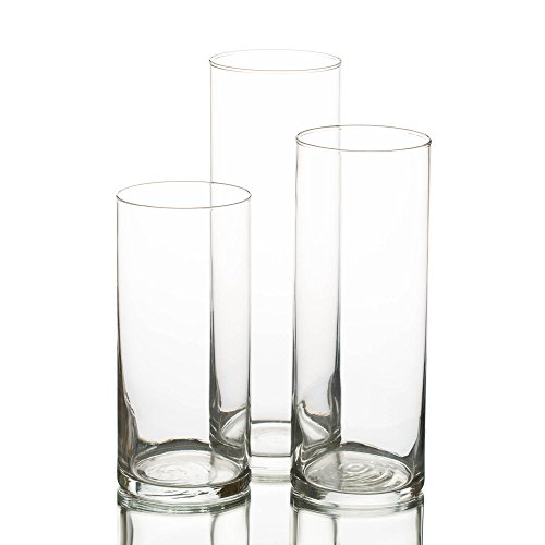 Amazon Com Eastland Glass Cylinder Vase Set Of 3 Home Kitchen