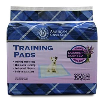 American kennel club extra large training pads Clearance