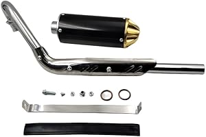 ZTDZZH golden 28mm Exhaust Muffler Fit SSR SDG CRF XR TTR 50cc 70cc 90cc Pit Dirt Bike