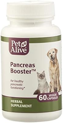natural remedies for pancreatitis in dogs
