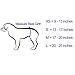 In hand Washable Durable Male Dog Diapers(Pack of 3), Premium Reusable Belly Bands Belly Wrap for Male Dog, Comfy Doggie Diapers