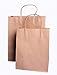Natural Kraft Paper Bags, Shopping Bags-8x4.75x10.5 Inch-25 Pcs