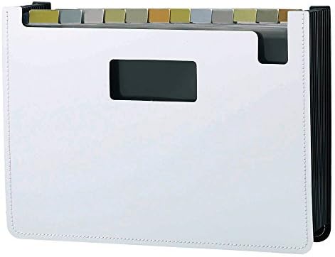 Budgerigar document stand foaming beautiful woman A4 landscape 13P White FB-2312-70 (japan import) by Budgerigars