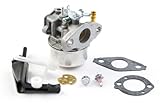 Briggs & Stratton 591299 Carburetor Replaces 798650, 698474, 791991