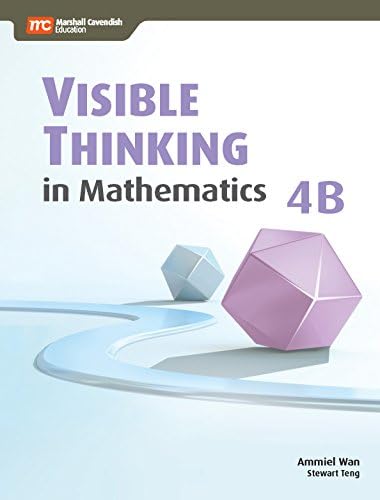 Visible Thinking in Mathematics, 4B Paperback – January 1, 2011