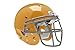 Schutt Sports DNA Pro+ Varsity Football Helmet