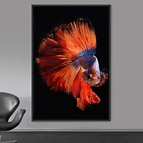signwin Framed Canvas Wall Art Fish Bedroom Colorful...