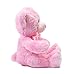 WILDREAM PinkTeddy Bear Stuffed Animal Plush with Ribbon Cravat, Shaggy Plush Stuffed Teddy Bear for Baby Kids Boys Girls, Soft First Teddy Bear Cute in Sitting Position 9.8 Inches(Dreamy Pink)
