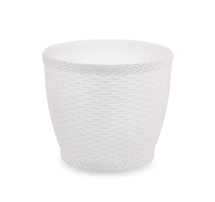 SHOPATHON INDIA Modern Home Garden D