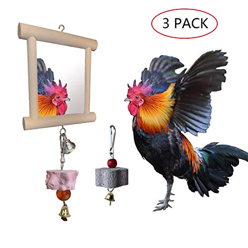 Vehomy Chicken Toys for Hens Birds Hanging Mirror Toys with Bell and 2pcs Teeth Grinding Stones for Chicken Parrots