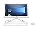 HP Pavilion 19.5 Inch All-in-One Premium Flagship Desktop Computer (Intel Dual Core Celeron J3060 1.6GHz, 4GB RAM, 1TB HDD, DVD, HDMI, USB 3.0, Webcam, WiFi, Windows 10) (Renewed)