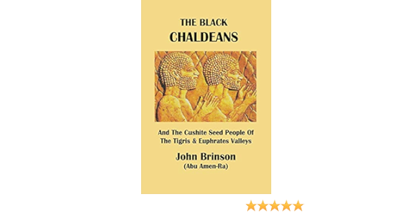The Black Chaldeans And The Cushite Seed People Of The Tigris And Euphrates Valleys Brinson Abu Amen Ra John 9781478788911 Amazon Com Books