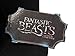 Fantastic Beasts and Where to Find Them Tina Goldstein Costume Cloche Hat