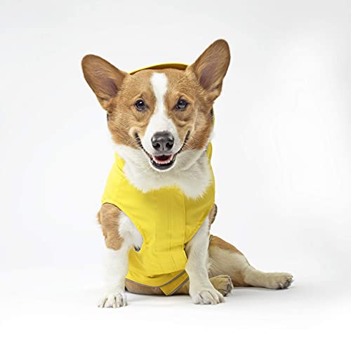dog rain jacket canada