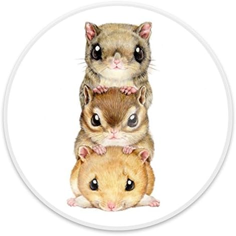 Multi-Function Mounts and Stands, Pop Phone Grip Socket for Smartphone,Iphone and Tablets -Hamsters