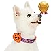 Blueberry Pet 2019 New 8 Patterns Halloween Pumpkin Party Designer Adjustable Dog Collar with Detachable Decoration, Large, Neck 18″-26″thumb 3
