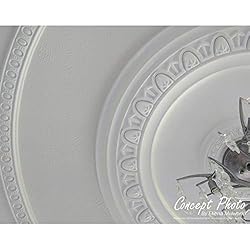 Ekena Millwork CM07ALPCF Small Alexandria Ceiling
