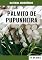 Livro PALMITO DE PUPUNHEIRA: Plantio, manejo e importância para a alimentação