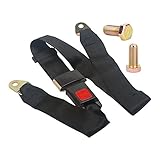 HIFROM Adjustable Car 2 Point Seat Saftey Belt Harness Kit Go Kart UTV Buggie Single Double Seat
