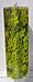 Reindeer Moss, Preserved - Spring Green (Chartreuse), 20-Ounce (1.25 Pounds) in a Designer Series Clear Case. (Reico Art 108055 - Soft and Colored Reindeer Moss)