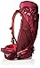 Osprey Packs Women's Kyte 36 Backpack