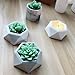 Silicone Mold for Succulent Planter Flower Pot,Gypsum Cement Fleshy Plant Flower Pot Silicone Mould Bonsai,DIY Terraced Fields Muti-Meat Flower Planter Mould (Diamond Mold)