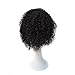 InKach Curly Short Wigs, Women Girls Hair Wig Full Heat Resistant Charming Cosplay Costume Synthetic Wigs (Black)