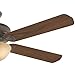 Casablanca 55006 Ainsworth Gallery 60-Inch 5-Blade Single Light Ceiling Fan, Onyx Bengal with Distressed Walnut/Dark Walnut Blades and Toffee Glass Bowl Light